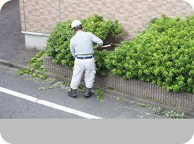 植栽剪定