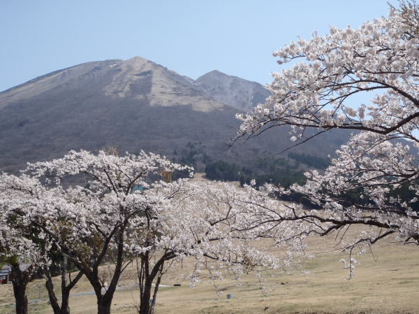 大山桝水原園地駐車場